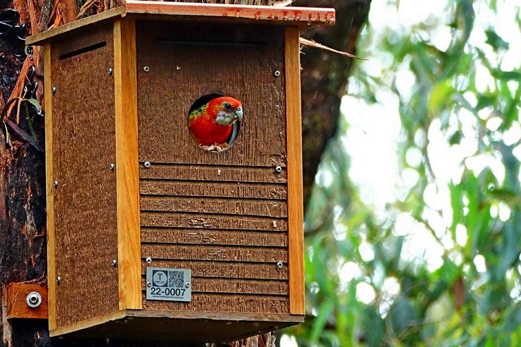 Thermal Haven Nest Boxes®
