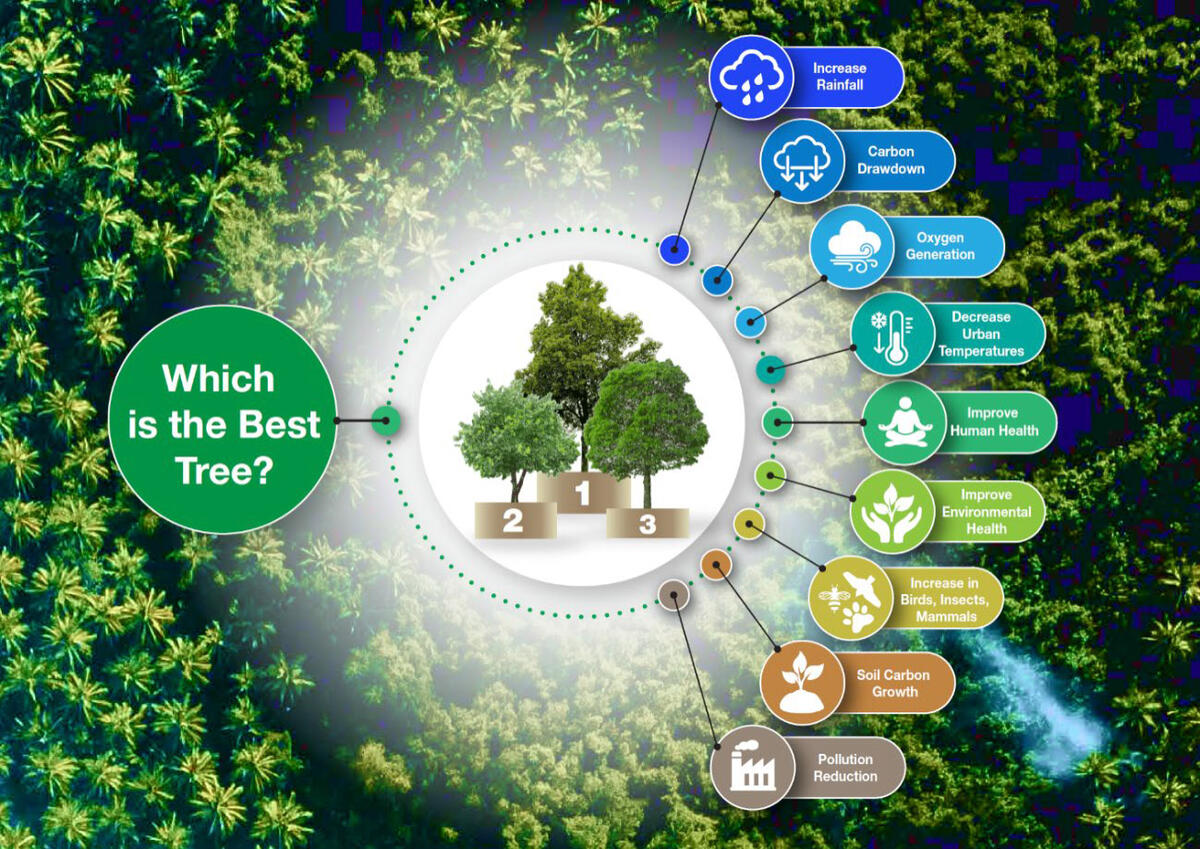 On mobile, zoom to view

Assessment of natural ‘machines’, ecosystems and circular economy initiatives require Life Cycle Benefit Analysis (LCBA).